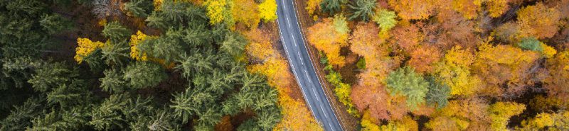 Nuevas capacidades azules para la transformación verde