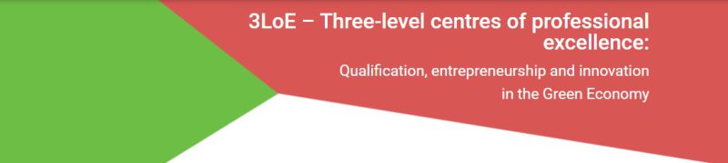 3LoE: Three-level centres of professional excellence