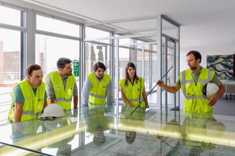 Cualificación, emprendimiento e innovación en la economía verde